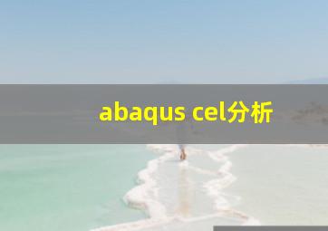 abaqus cel分析